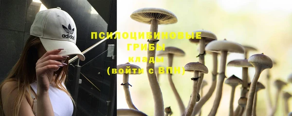 MESCALINE Абаза