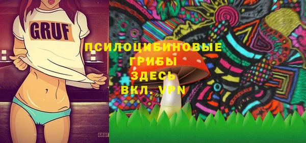 шишки Алексеевка