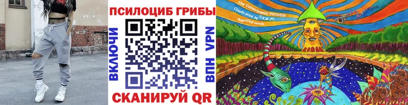 Псилоцибиновые грибы мухоморы  где купить наркоту  мега tor  Россошь 