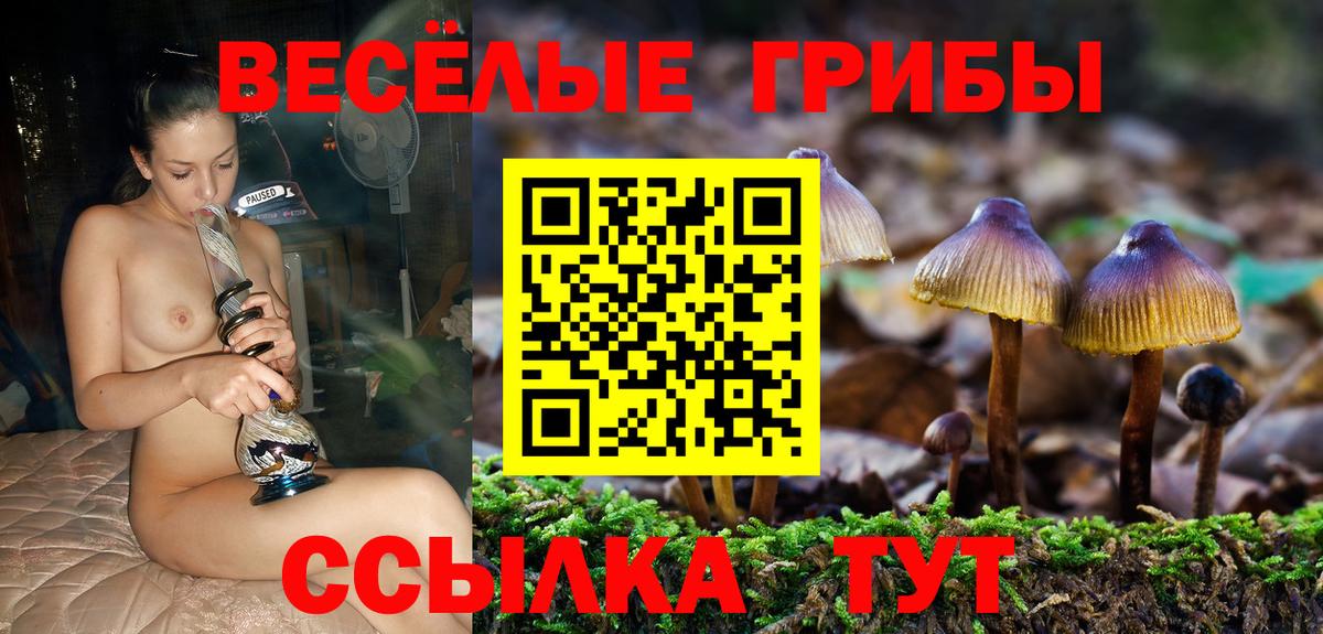 Россошь  Псилоцибиновые грибы ЛСД  купить  сайты  Вход с VPN 