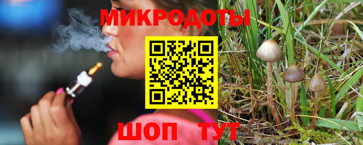 Псилоцибиновые грибы мицелий Россошь