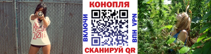 Каннабис SATIVA & INDICA маркетплейс как зайти Россошь